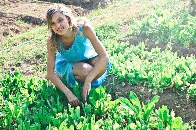 Quand je décide de faire du jardinage, c'est beau sérieux