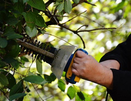 Comment choisir le bon rotofil ?