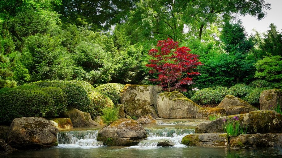 Et si l’art japonais du Kokedama s’invitait chez vous ?