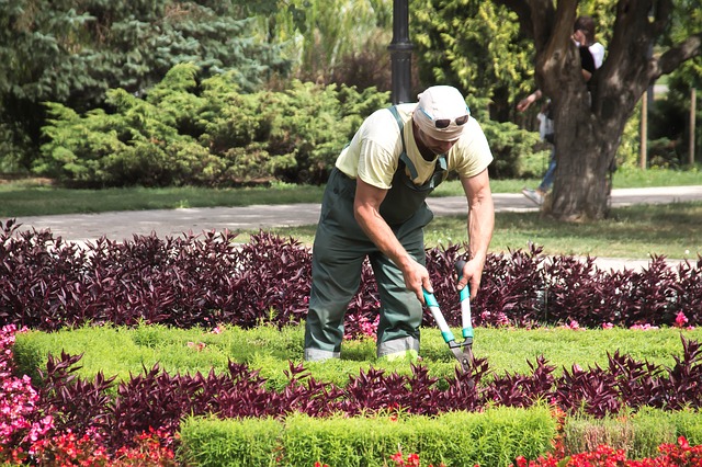 La cisaille est utilisée pour couper les branches