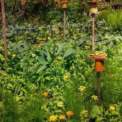 Le Jardin de la permaculture, c'est la base de l'écologie