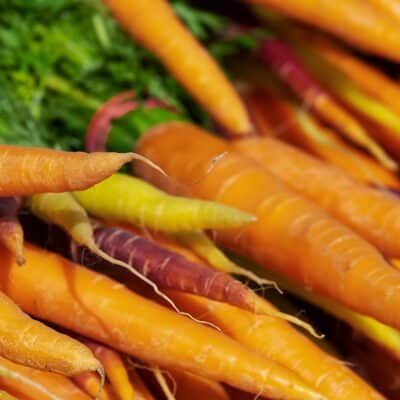 légumes faciles à planter