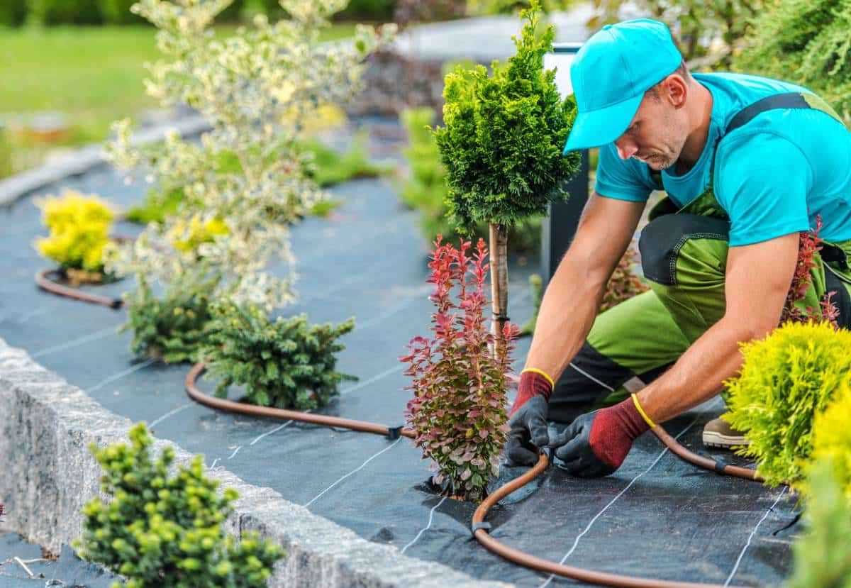 jardin écodurable