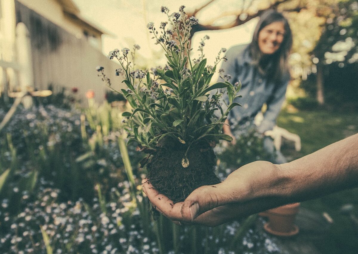 Garder son jardin en parfait état