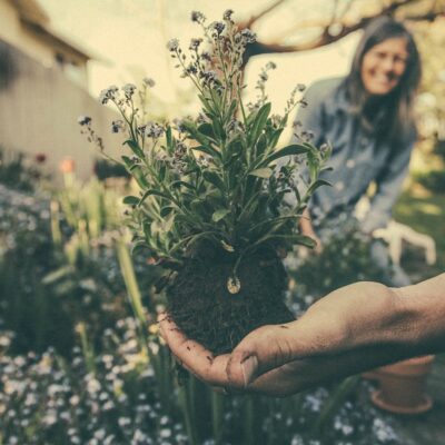 Garder son jardin en parfait état