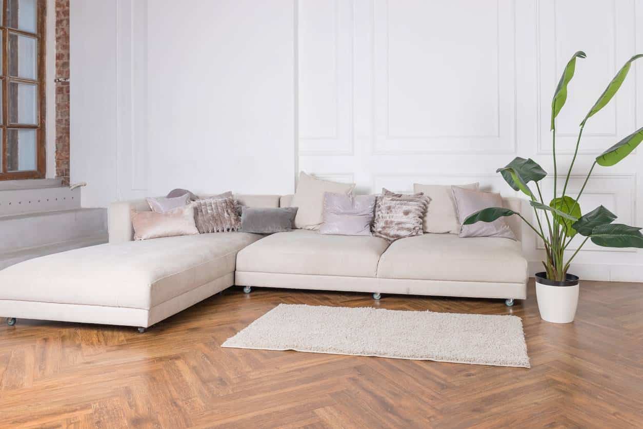 essence de bois parquet