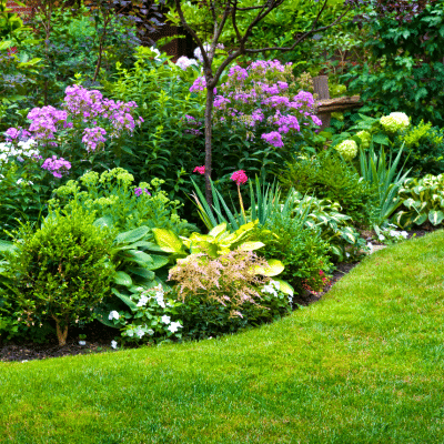 jardin en pente forte