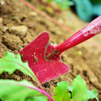 réparer soi-même ses outils de jardin