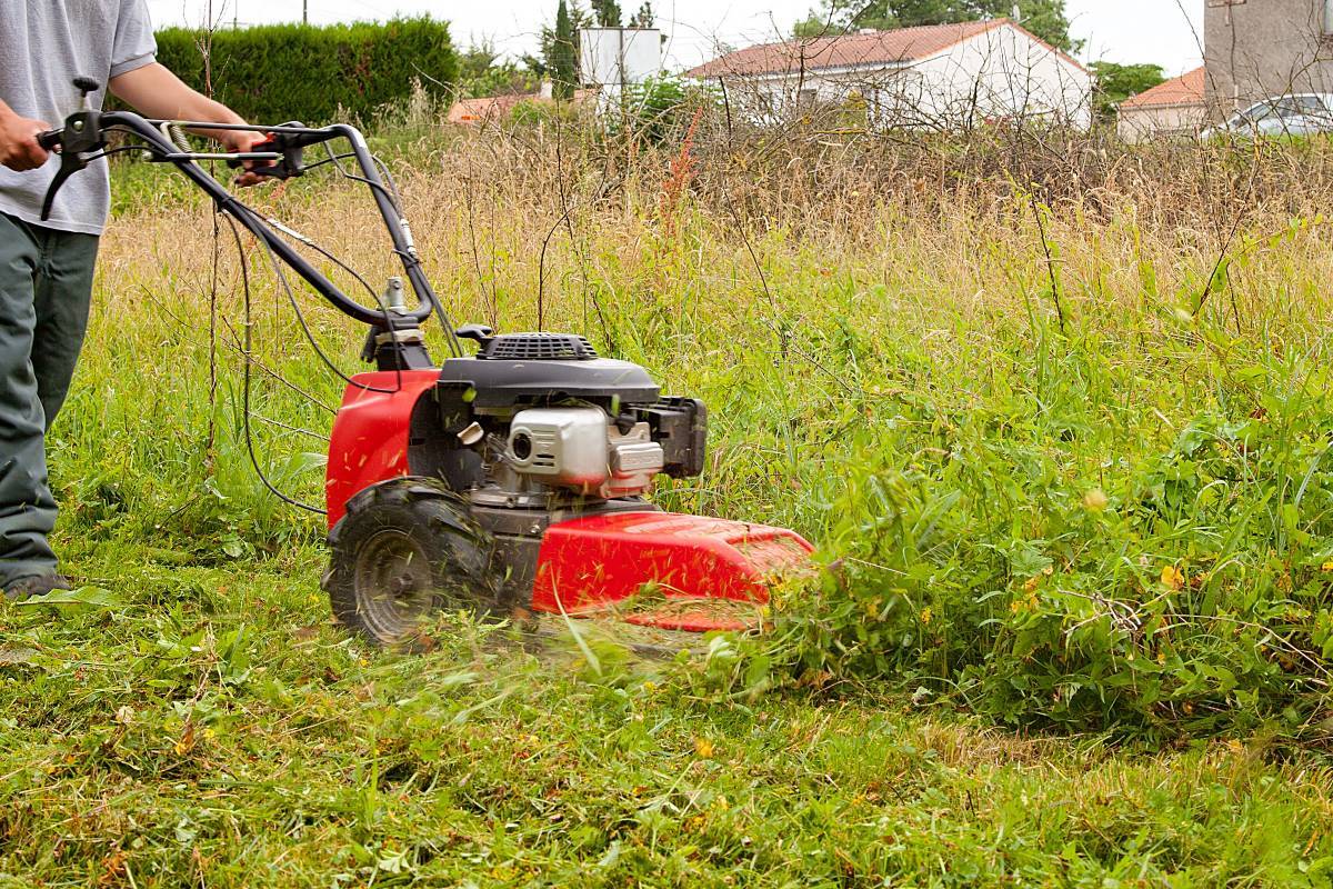 débroussailleuse jardin potager