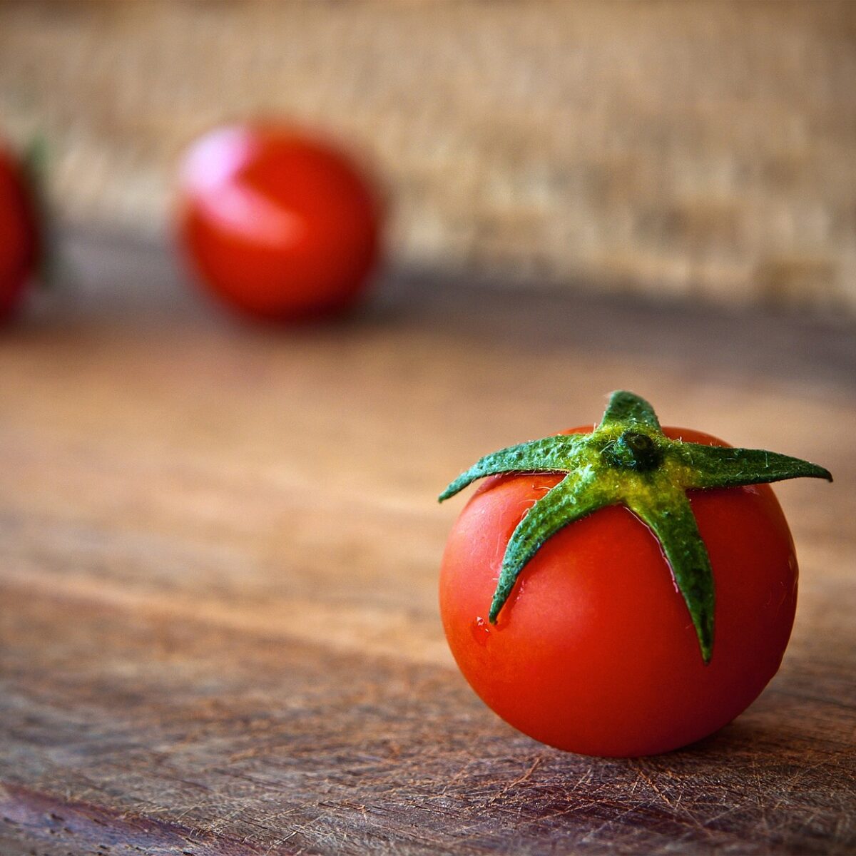 en combien de temps poussent les tomates - IMG de garde