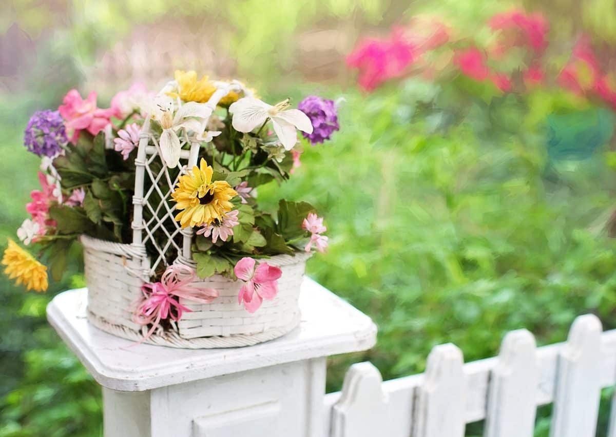 Comment choisir la clôture de jardin parfaite