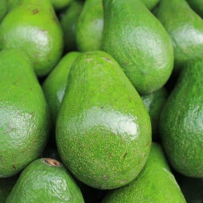 Comment réussir à faire pousser un avocatier