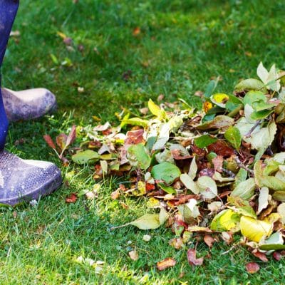 Jardinier ramassant les feuilles mortes