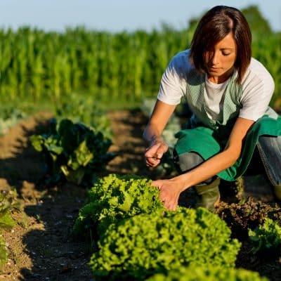 Femme entretient son potager