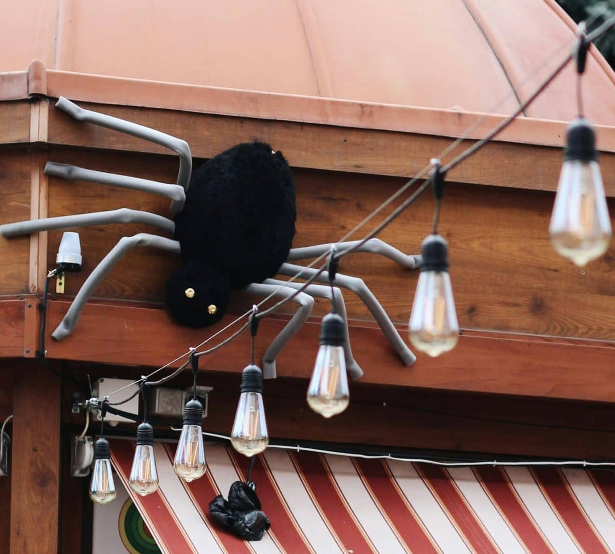 Comment choisir un store banne sur mesure en 2024 ?