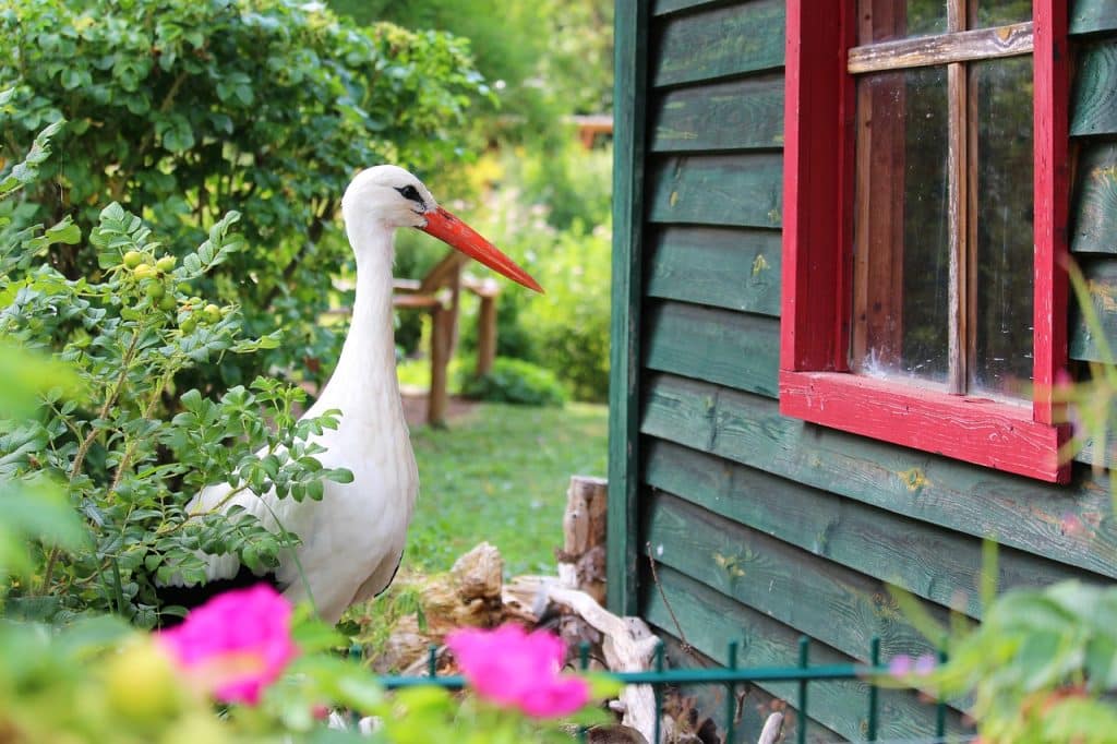 avantages d'un abri de jardin en bois