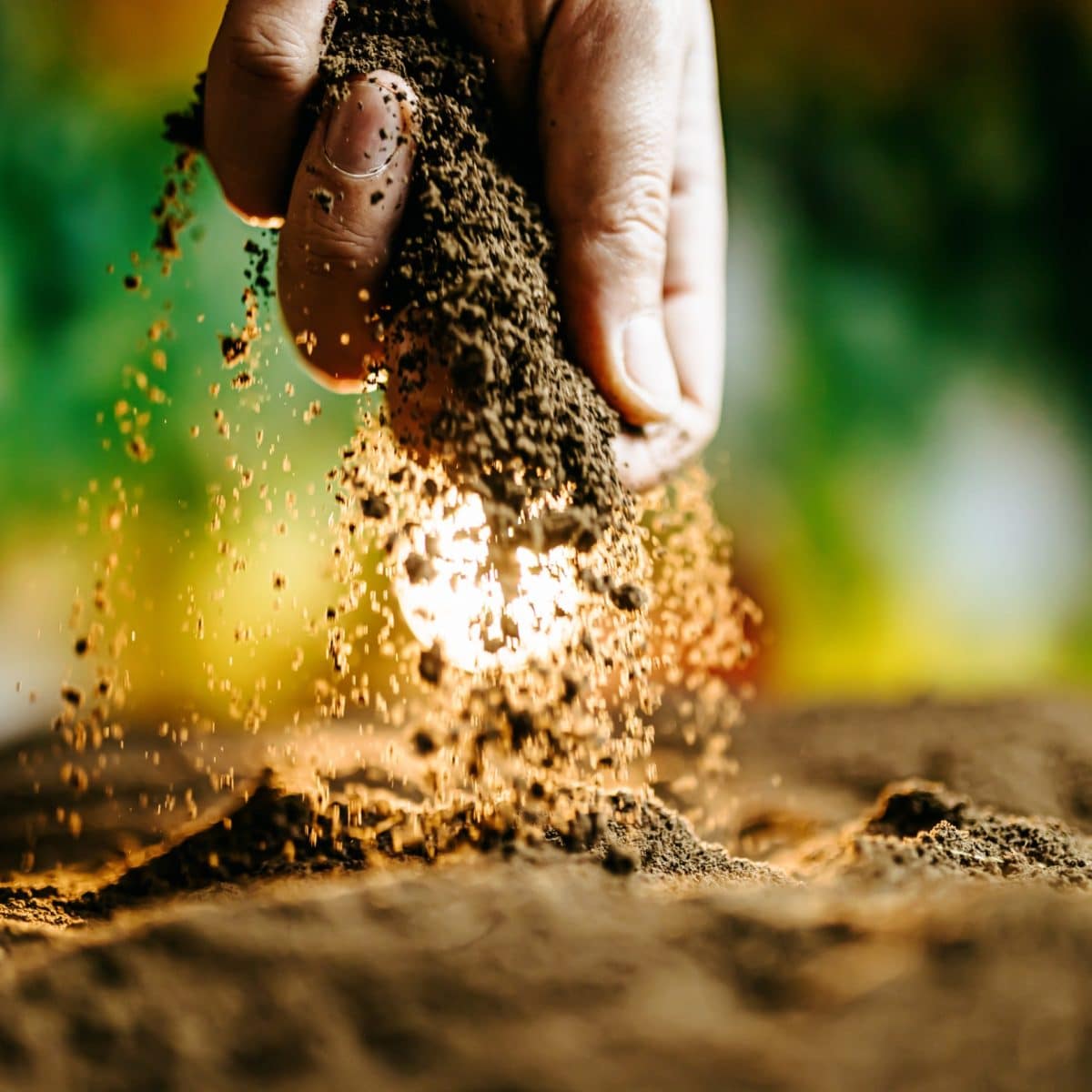 bonnes raisons d’opter pour l’agriculture biologique