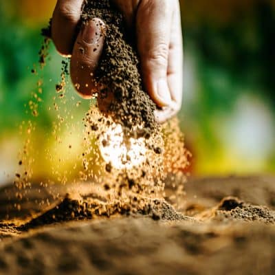 bonnes raisons d’opter pour l’agriculture biologique