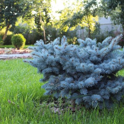 Les clés d'un aménagement paysager réussi