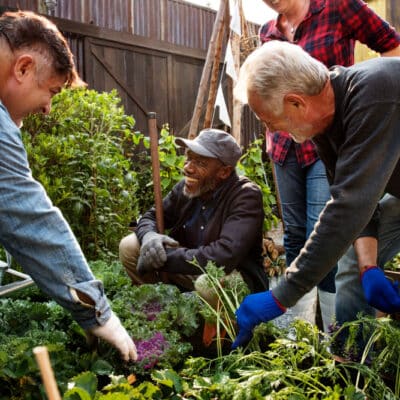 Les bénéfices d’une coopérative paysagiste